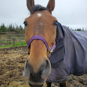 Meet your Posher, Anna-marie